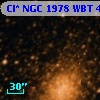 Cl* NGC 1978    WBT    4749