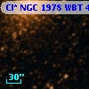 Cl* NGC 1978    WBT    4775