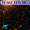 Cl* NGC 1978    WBT    4781