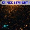 Cl* NGC 1978    WBT    4786