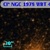 Cl* NGC 1978    WBT    4788