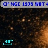 Cl* NGC 1978    WBT    4817