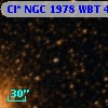 Cl* NGC 1978    WBT    4821
