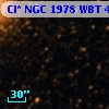 Cl* NGC 1978    WBT    4829