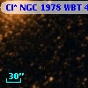 Cl* NGC 1978    WBT    4842