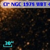 Cl* NGC 1978    WBT    4866
