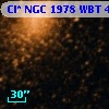 Cl* NGC 1978    WBT    4871