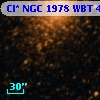 Cl* NGC 1978    WBT    4877