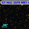 Cl* NGC 1978    WBT    4889