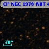 Cl* NGC 1978    WBT    4895