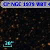 Cl* NGC 1978    WBT    4905