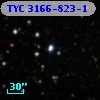 TYC 3166-823-1