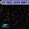 Cl* NGC 1978    WBT    4911