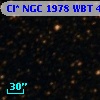 Cl* NGC 1978    WBT    4919