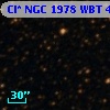 Cl* NGC 1978    WBT    4920