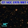 Cl* NGC 1978    WBT    4921
