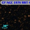 Cl* NGC 1978    WBT    4923