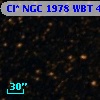 Cl* NGC 1978    WBT    4927