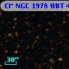 Cl* NGC 1978    WBT    4944