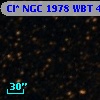 Cl* NGC 1978    WBT    4950