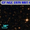 Cl* NGC 1978    WBT    4951