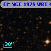 Cl* NGC 1978    WBT    4956
