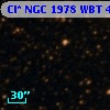 Cl* NGC 1978    WBT    4969