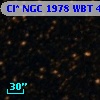 Cl* NGC 1978    WBT    4970