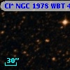 Cl* NGC 1978    WBT    4972