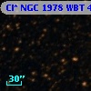Cl* NGC 1978    WBT    4975