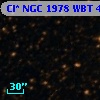 Cl* NGC 1978    WBT    4976
