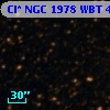 Cl* NGC 1978    WBT    4977