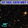 Cl* NGC 1978    WBT    4979