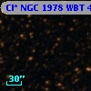 Cl* NGC 1978    WBT    4981