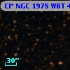 Cl* NGC 1978    WBT    4990