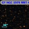 Cl* NGC 1978    WBT    4991