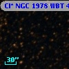 Cl* NGC 1978    WBT    4996