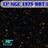 Cl* NGC 1978    WBT    5000