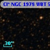 Cl* NGC 1978    WBT    5004