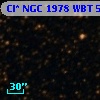 Cl* NGC 1978    WBT    5005