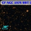 Cl* NGC 1978    WBT    5007