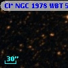 Cl* NGC 1978    WBT    5010