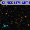 Cl* NGC 1978    WBT    5013
