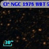 Cl* NGC 1978    WBT    5015