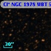Cl* NGC 1978    WBT    5021