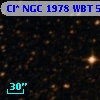 Cl* NGC 1978    WBT    5023