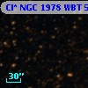 Cl* NGC 1978    WBT    5024
