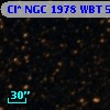 Cl* NGC 1978    WBT    5026