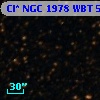 Cl* NGC 1978    WBT    5028