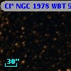 Cl* NGC 1978    WBT    5029